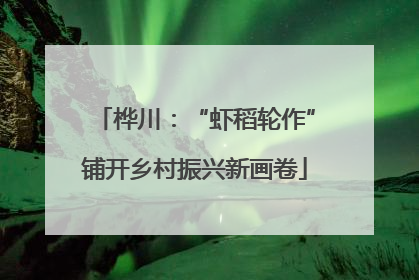 桦川：“虾稻轮作”铺开乡村振兴新画卷